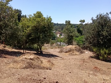 Venta / Parcela / Viña del Mar