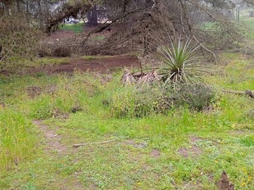 Imagen 5
