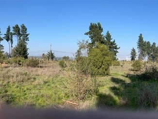 Venta / Parcela / Viña del Mar