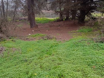 Venta / Parcela / Viña del Mar