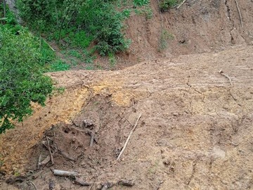 Imagen 8