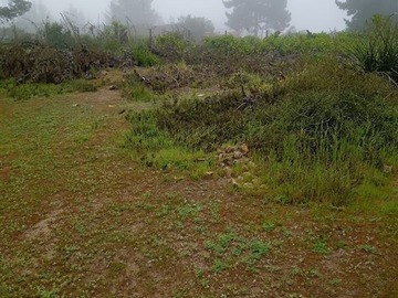 Imagen 6