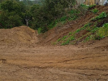 Imagen 6