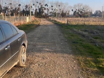 Imagen 11