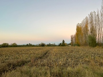 Imagen 6