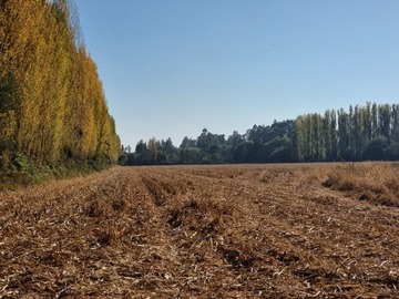 Venta / Parcela / Yerbas Buenas