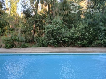 Imagen 6