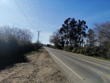 Imagen 7