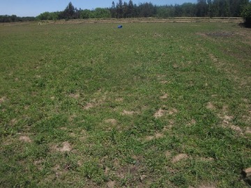 Venta / Parcela / Yerbas Buenas