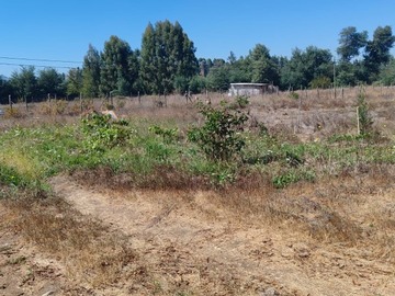 Venta / Parcela / Yerbas Buenas