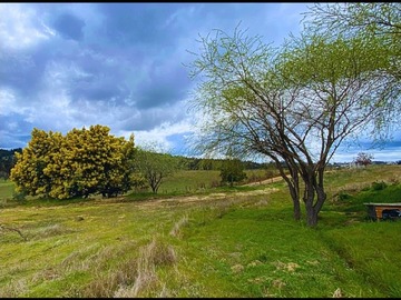 Imagen 24