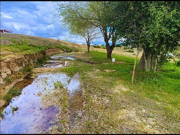 Imagen 28