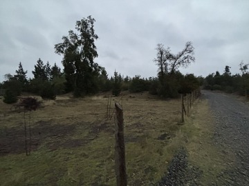 Imagen 18
