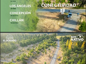 Imagen 14