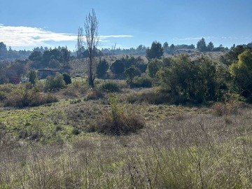 Imagen 7