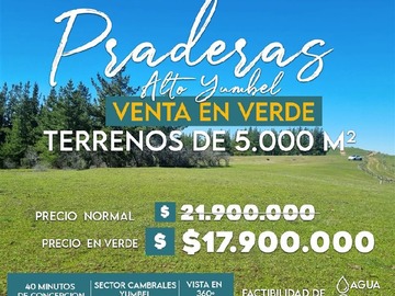 Venta / Parcela / Yumbel