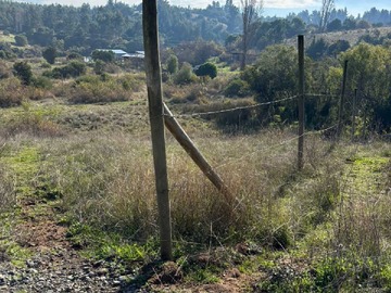 Imagen 20