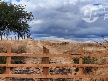 Imagen 18