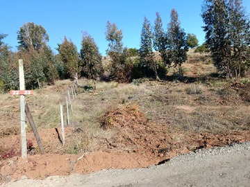Imagen 12