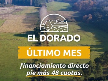 Imagen 13