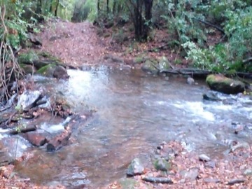 Imagen 11