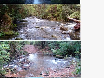 Imagen 8