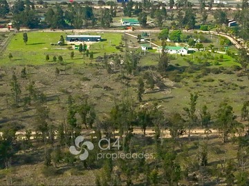 Imagen 14