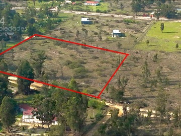 Imagen 13