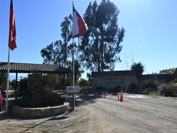 Imagen 29