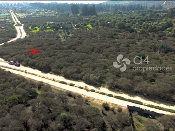 Imagen 10