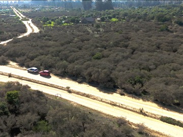 Imagen 11