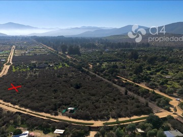 Imagen 8