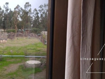 Imagen 13