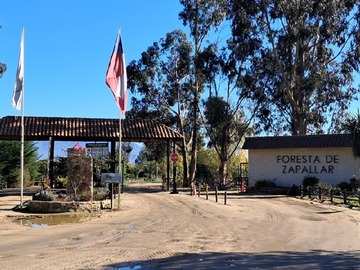 Venta / Parcela / Zapallar