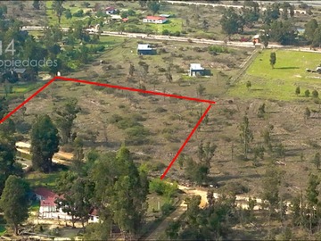 Imagen 11