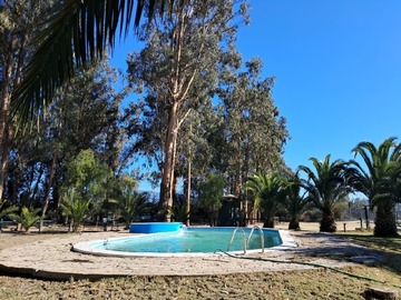 Imagen 5
