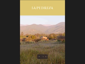 Venta / Parcela / Zapallar