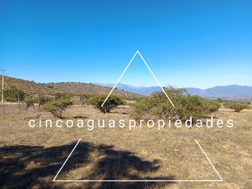 Imagen 15