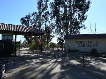 Venta / Parcela / Zapallar