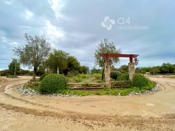 Imagen 21