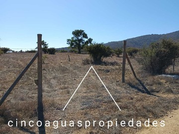 Imagen 13