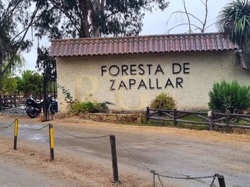 Venta / Parcela / Zapallar