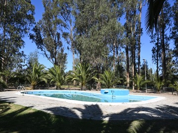 Imagen 26