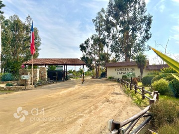 Venta / Parcela / Zapallar