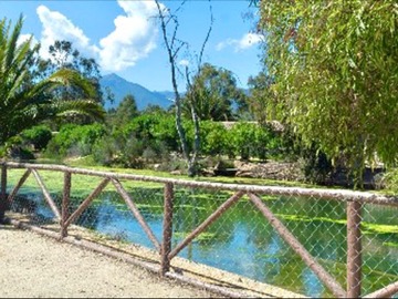 Imagen 16