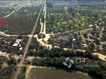Imagen 13