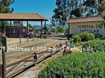 Venta / Parcela / Zapallar