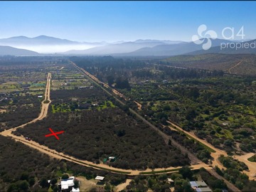 Imagen 7