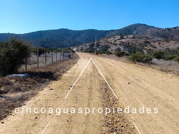 Imagen 12