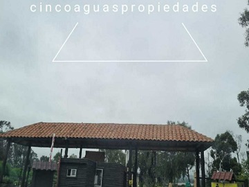 Imagen 19